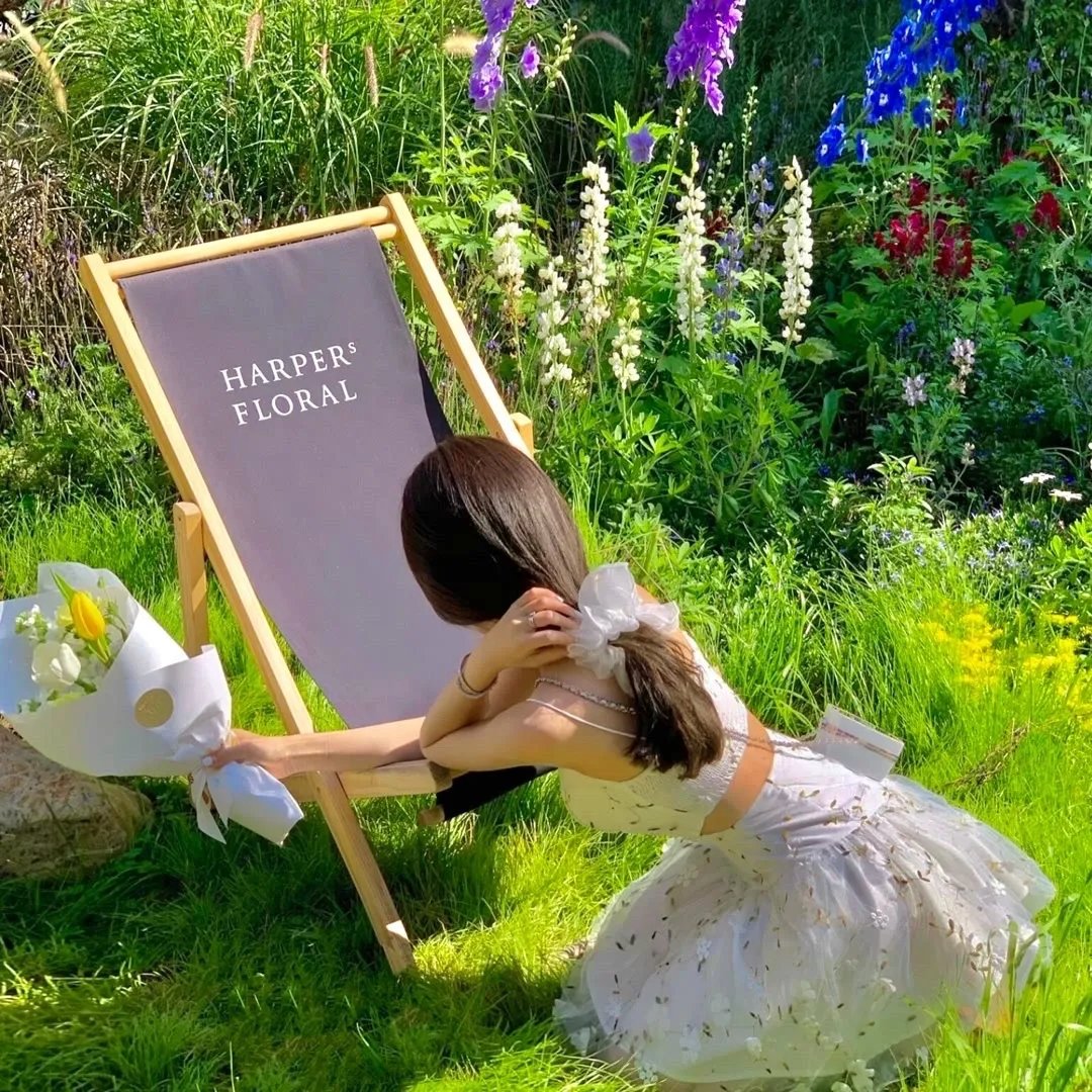 再见了，我的克拉默